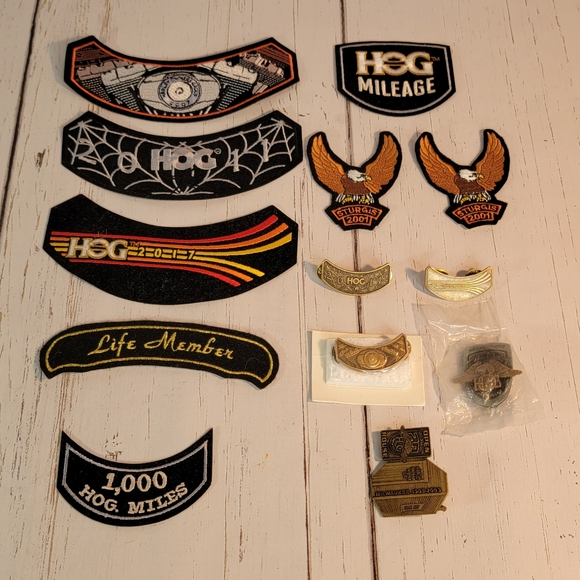 Harley-Davidson Other - Harley-Davidson Motorcycle Biker Club Patches & Pins for Vest 13 Pc Lot- Surgis